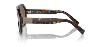 Dolce&Gabbana DG4433 502/73 58