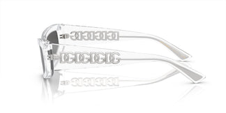 Dolce&Gabbana DG4445 313387 54