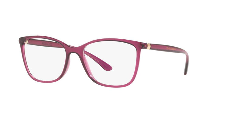 Dolce and Gabbana DG5026 1754 54
