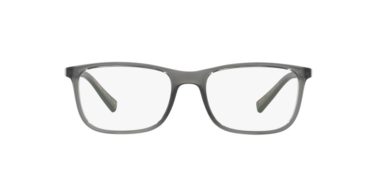 Dolce e Gabbana DG5027 - 3160 - Transparent Grey - 55 mm