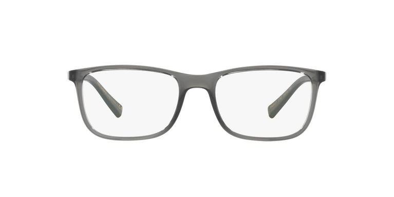 Dolce e Gabbana DG5027 - 3160 - Transparent Grey - 55 mm