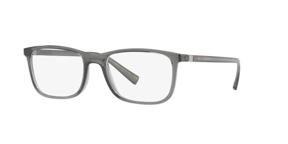 Dolce and Gabbana DG5027 3160 55