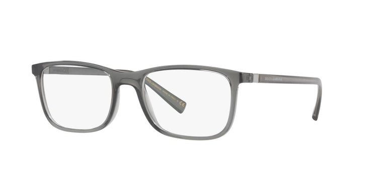 Dolce and Gabbana DG5027 3160 55