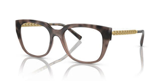 Dolce & Gabbana DG5087 3386 53