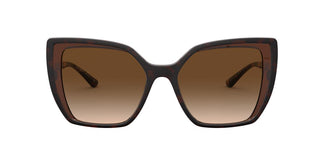 Dolce e Gabbana DG6138 - 318513 - Havana On Transparent Brown - 55 mm