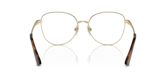 Dolce & Gabbana DG1355 1365 55