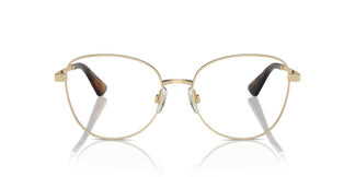 Dolce & Gabbana DG1355 1365 55