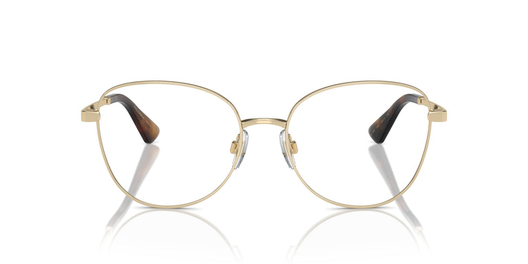 Dolce & Gabbana DG1355 1365 55