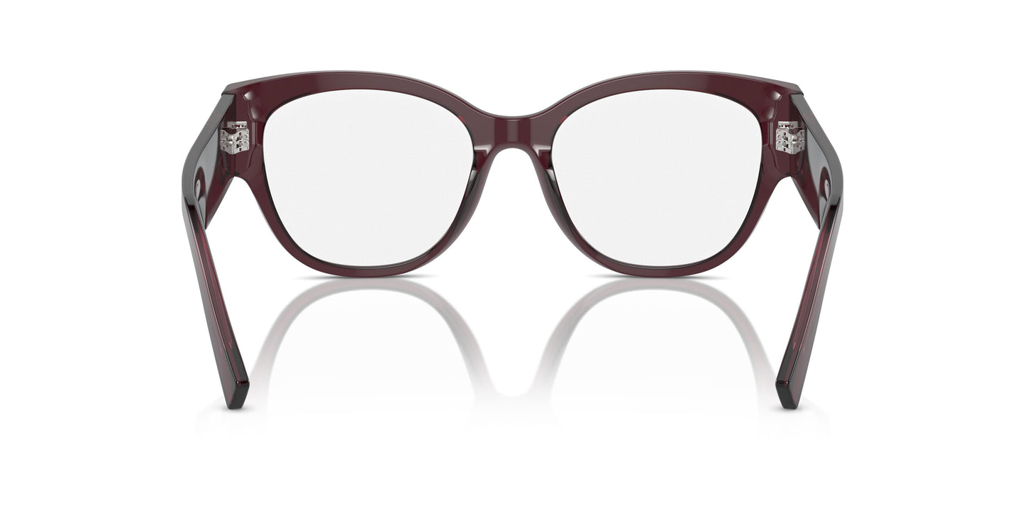 Dolce & Gabbana DG3377 3045 53