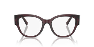 Dolce & Gabbana DG3377 3045 53
