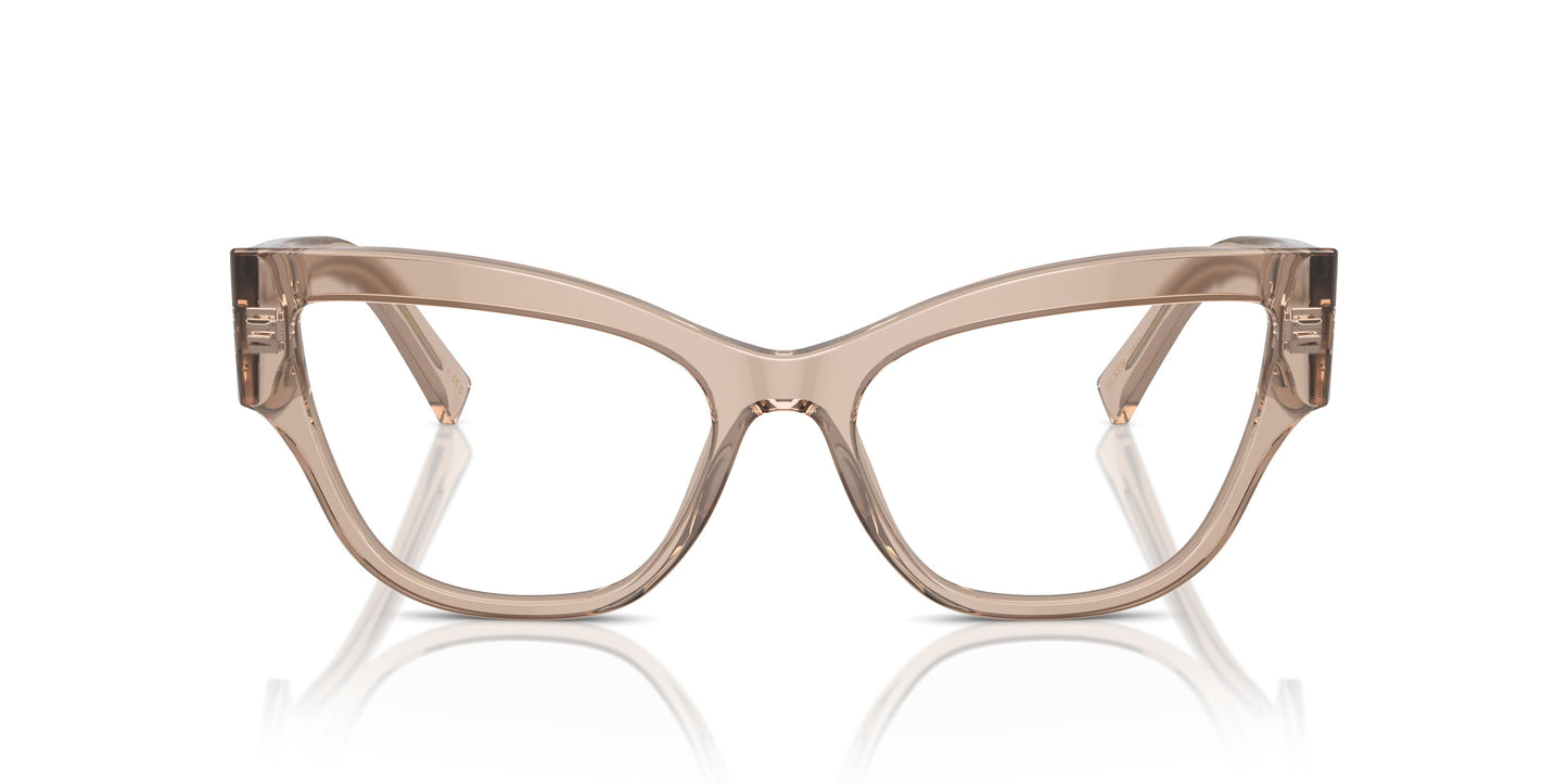 Dolce & Gabbana DG3378 3432 55