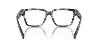 Dolce & Gabbana DG3383 3392 55