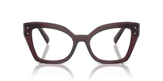 Dolce & Gabbana DG3386 3045 53