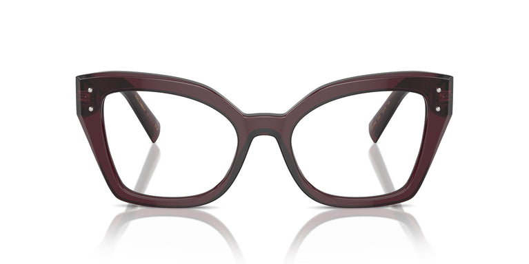 Dolce & Gabbana DG3386 3045 53