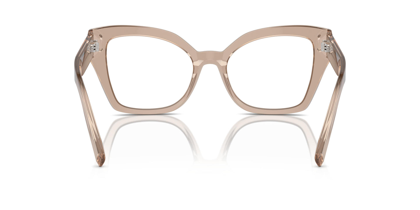 Dolce & Gabbana DG3386 3432 51