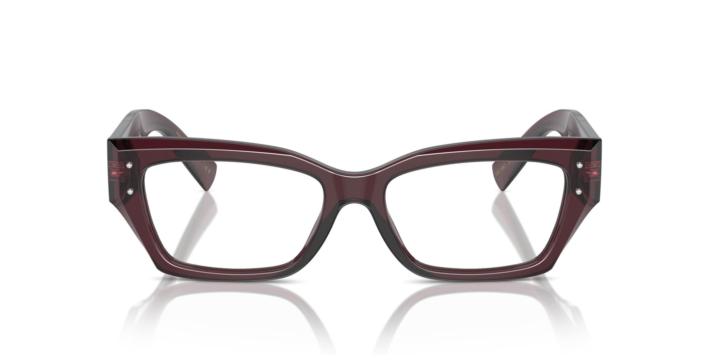 Dolce & Gabbana DG3387 3045 53