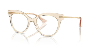 Dolce & Gabbana DG3392 3432 50
