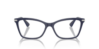 Dolce & Gabbana DG3393 501 56