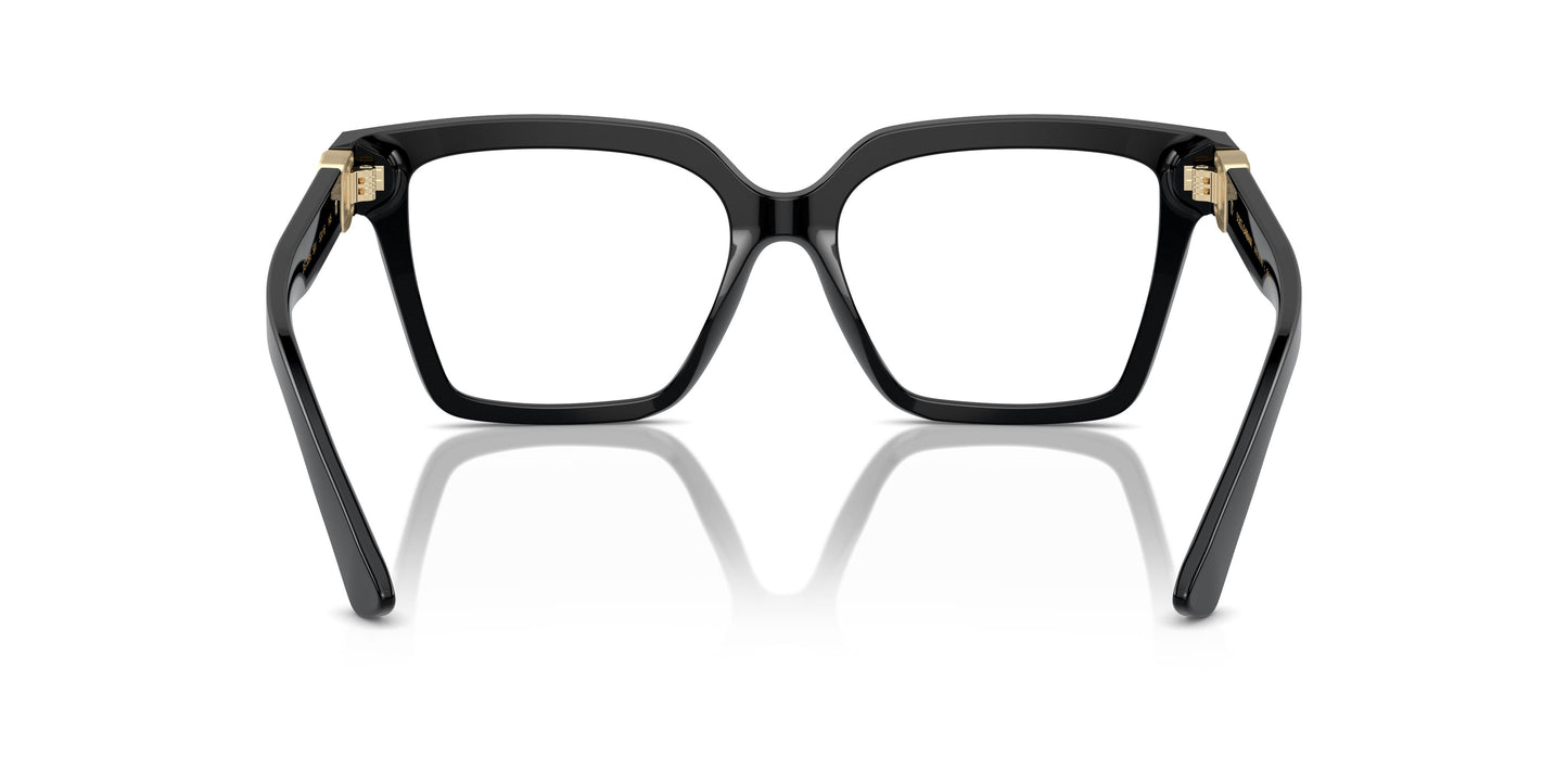 Dolce & Gabbana DG3395 501 51