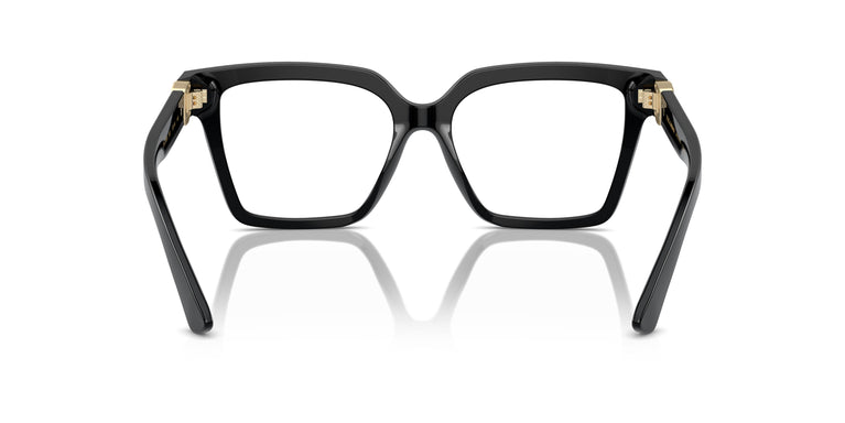 Dolce & Gabbana DG3395 501 51