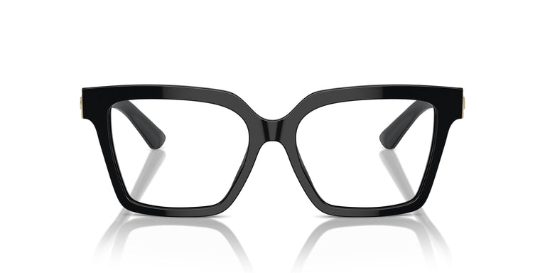 Dolce & Gabbana DG3395 501 51