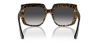 Dolce & Gabbana DG4414 32998G 54