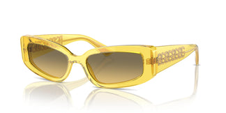 Dolce & Gabbana DG4445 343311 54