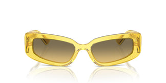 Dolce & Gabbana DG4445 343311 54