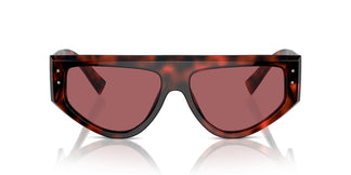Dolce & Gabbana DG4461 335869 57