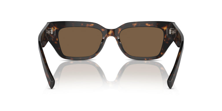 Dolce & Gabbana DG4462 502/73 52