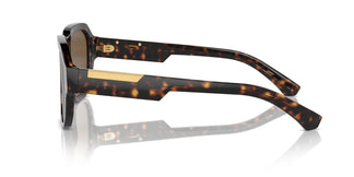 Dolce & Gabbana DG4464 502/73 56