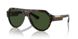 Dolce & Gabbana DG4466 502/71 56