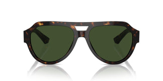 Dolce & Gabbana DG4466 502/71 56