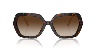 Dolce & Gabbana DG4468B 502/13 58