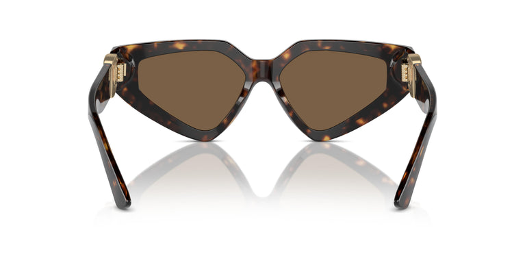 Dolce & Gabbana DG4469 502/73 59