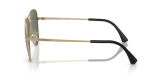 Emporio Armani EA2149D 300271 60