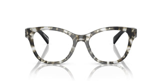 Emporio Armani EA3162 5193 52