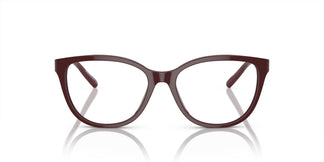 Emporio Armani EA3190 5576 53