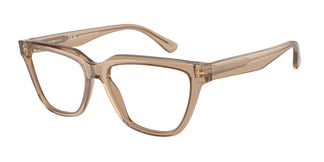 Emporio Armani EA3208 5069 52