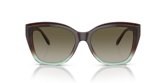 Emporio Armani EA4198 59898E 55