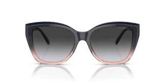 Emporio Armani EA4198 59918G 55