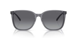 Emporio Armani EA4206D 5029T3 57