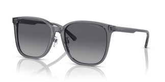 Emporio Armani EA4206D 5029T3 57