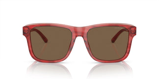 Emporio Armani EA4208 605373 56