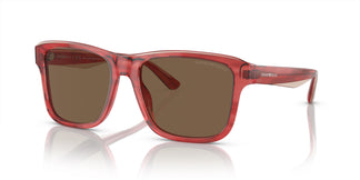 Emporio Armani EA4208 605373 56