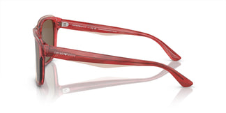 Emporio Armani EA4208 605373 56