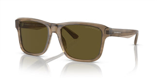 Emporio Armani EA4208 605573 56
