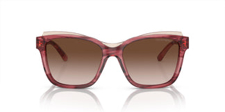 Emporio Armani EA4209 605713 54