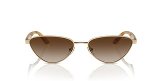 Emporio Armani EA2153 301313 56