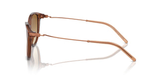 Emporio Armani EA4220 61103B 54